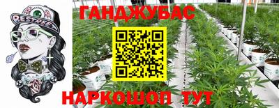 jwh Новозыбков