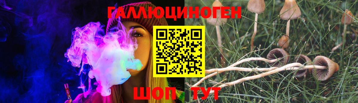 Галлюциногенные грибы Magic Shrooms Реутов