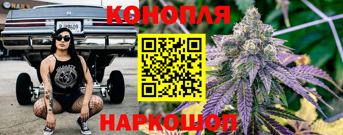 Конопля сатива  Каннабис сатива  Вход с VPN  Реутов 